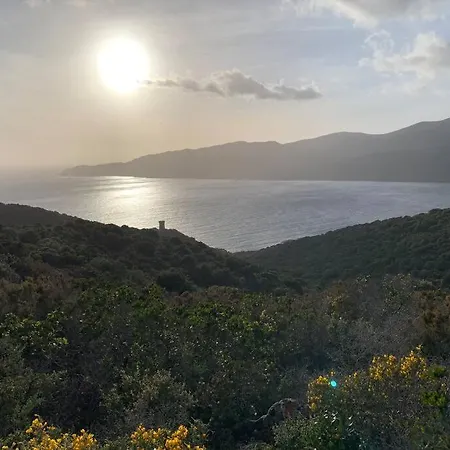 Lejlighed Magnifique Vue Mer Dans 3* Avec Piscine Serra-di-Ferro (Corsica)