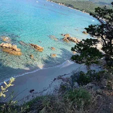 Apartment Magnifique Vue Mer Dans 3* Avec Piscine Serra-di-Ferro (Corsica)